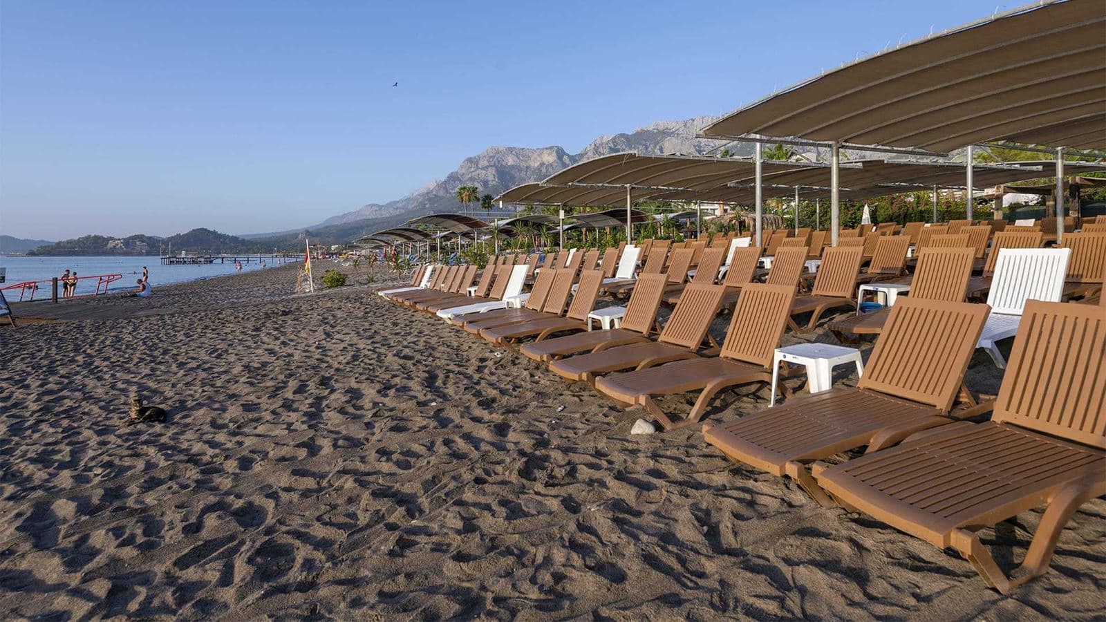 beach-beach