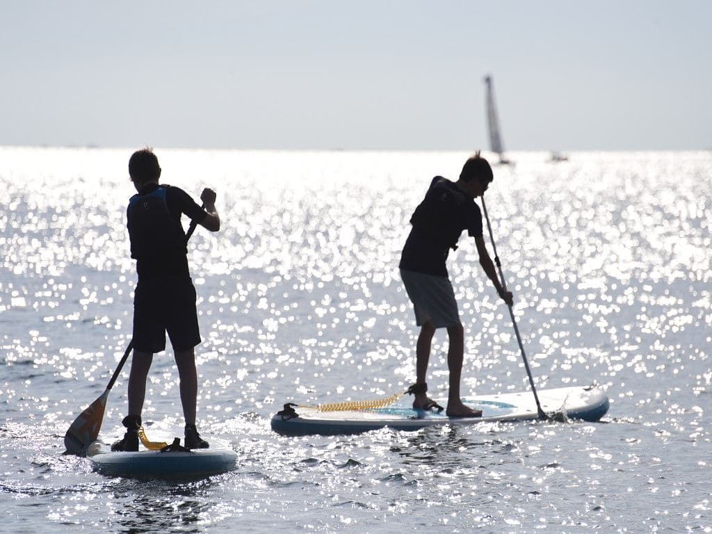 sport-sport