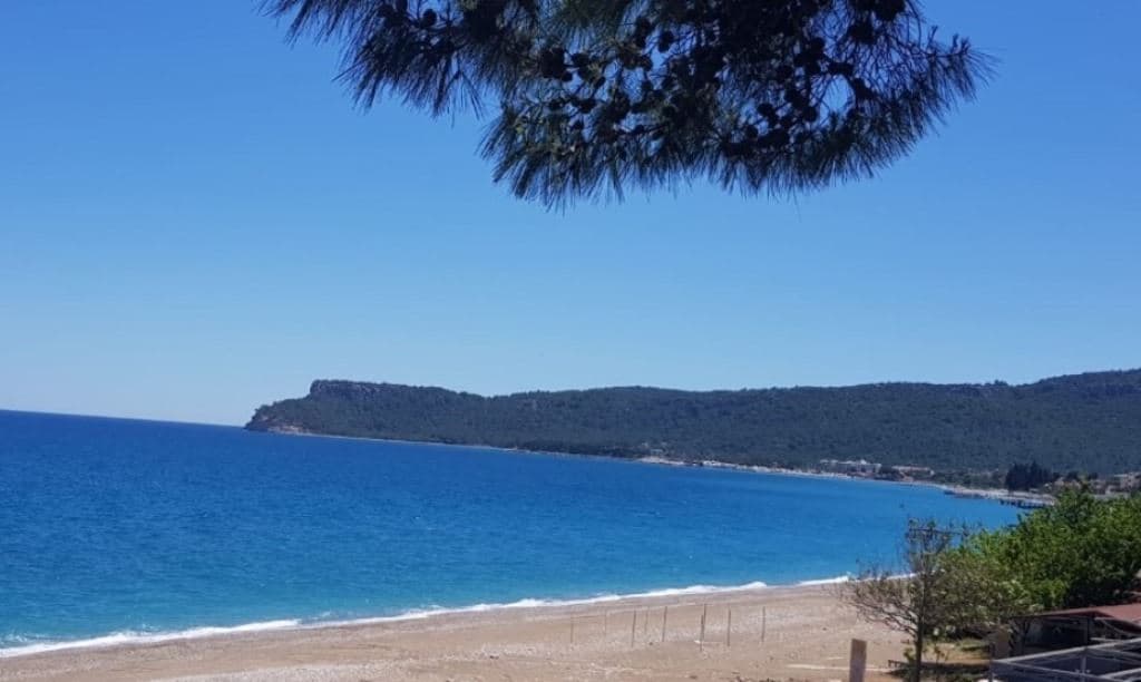 beach-beach