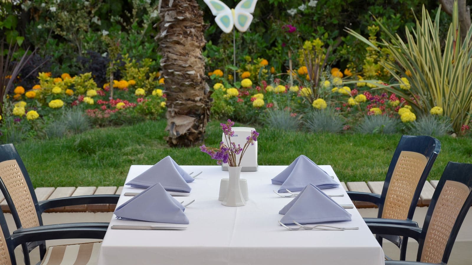 restaurants-telya-restaurant--grill