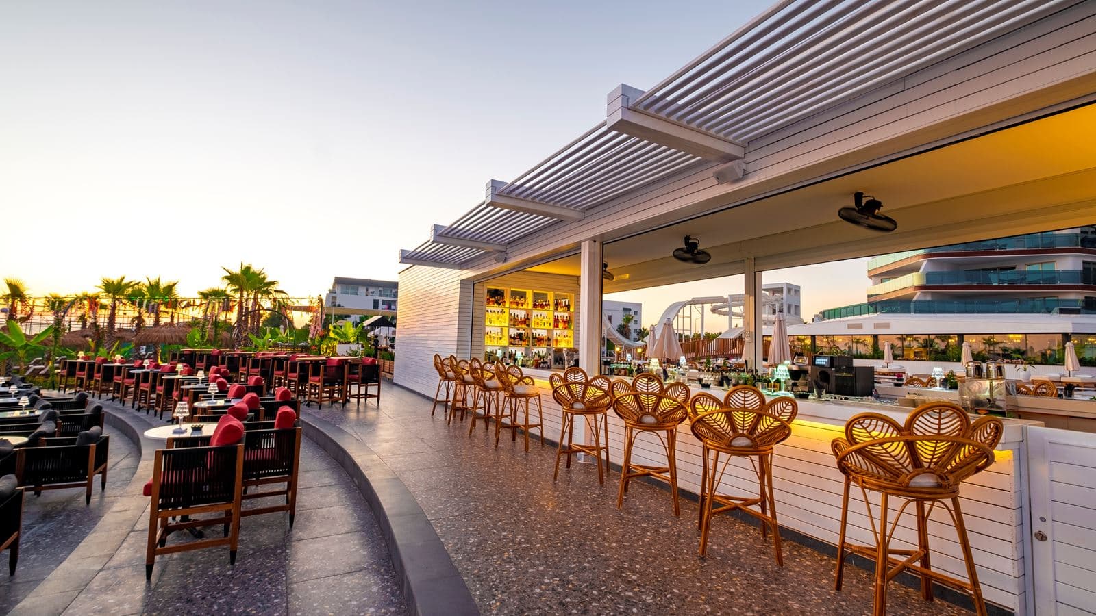 bars-ficus-bar