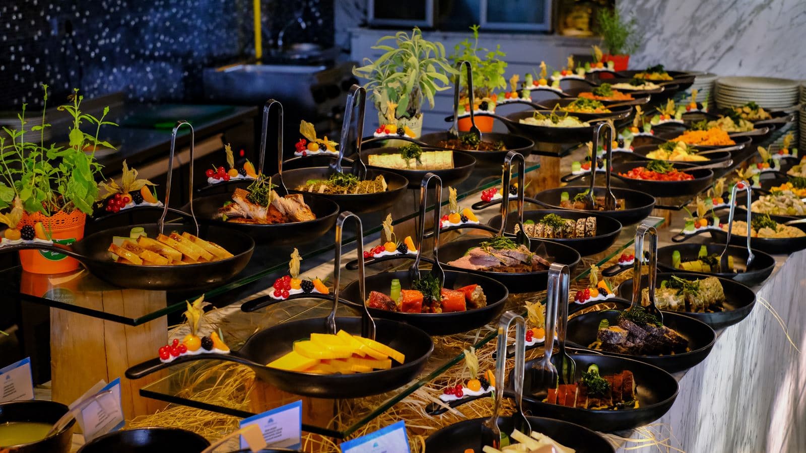 restaurants-platinum-restaurant