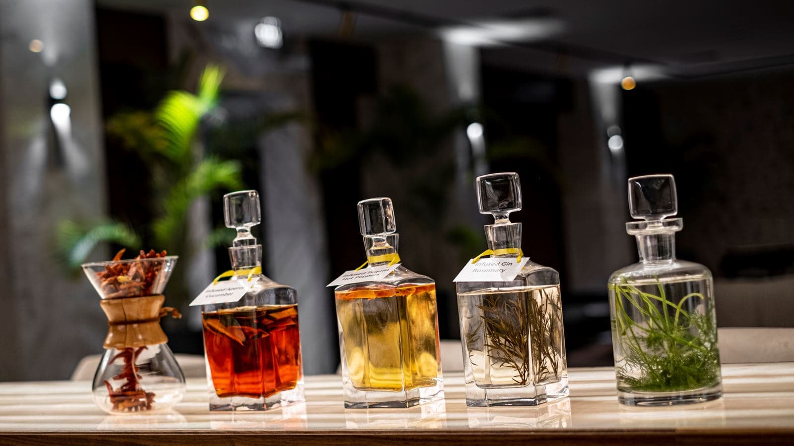 bars-cetrus-bar--lobby-bar