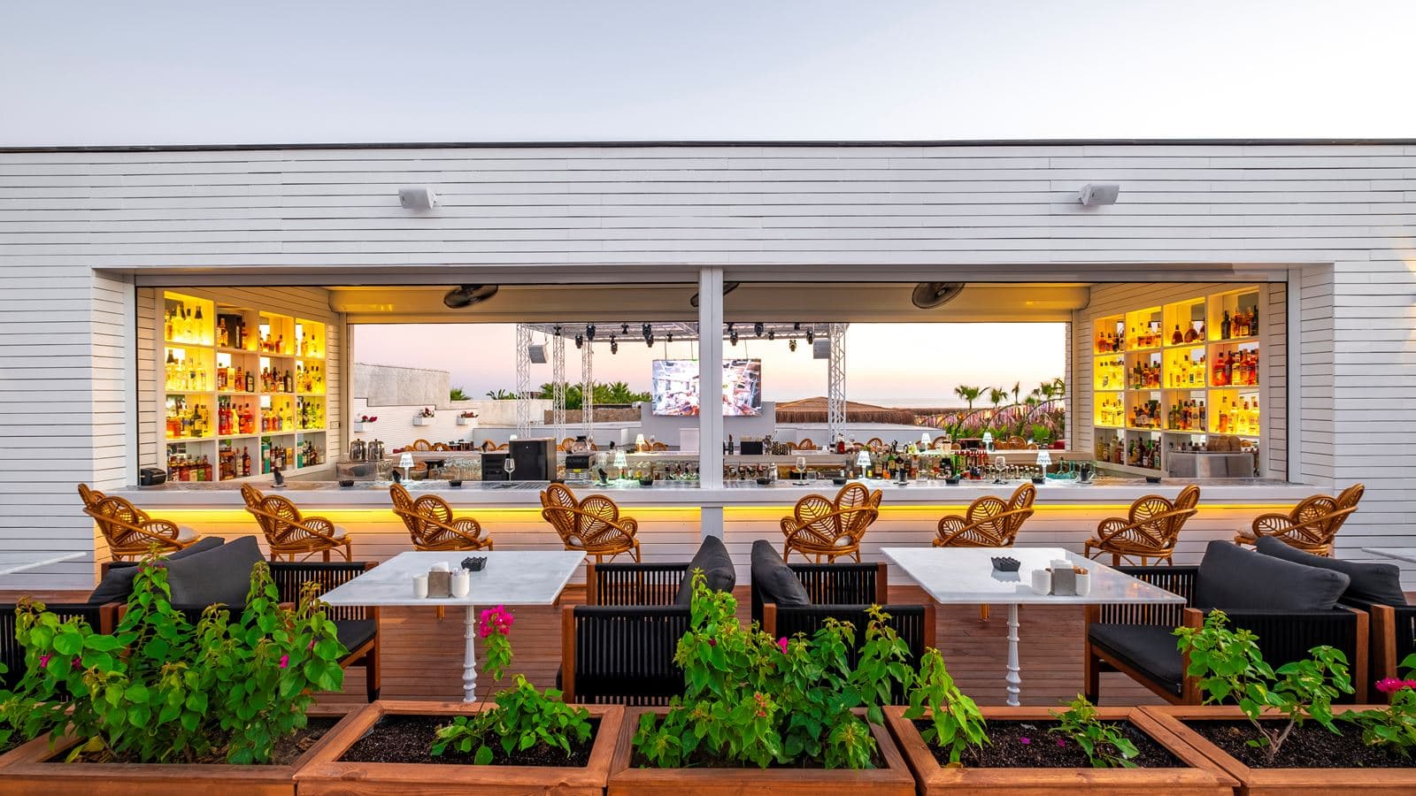 bars-ficus-bar