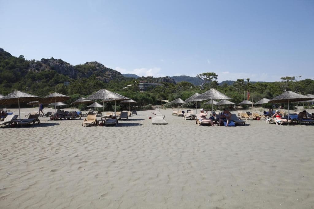 beach-beach
