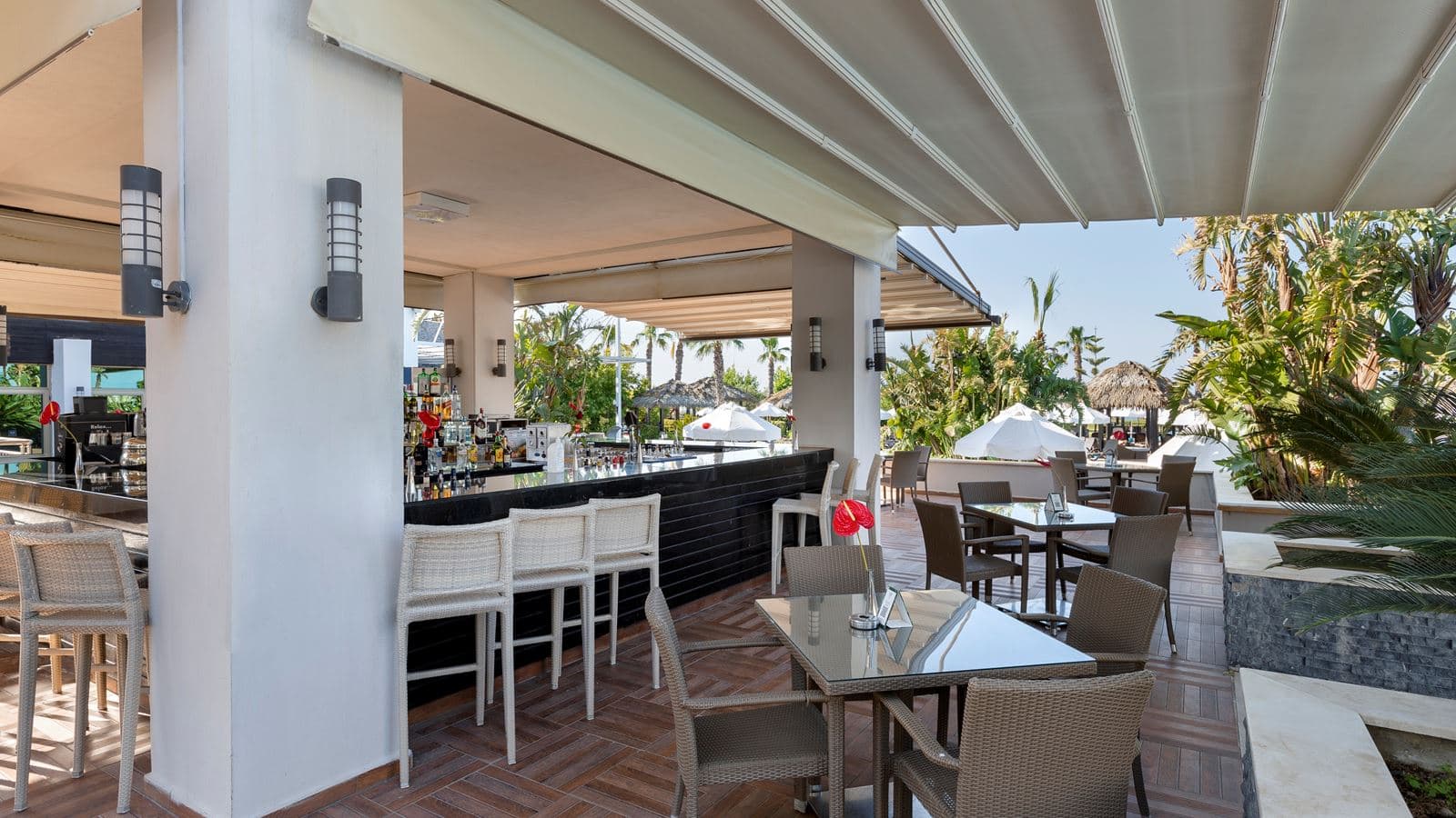 bars-island-bar