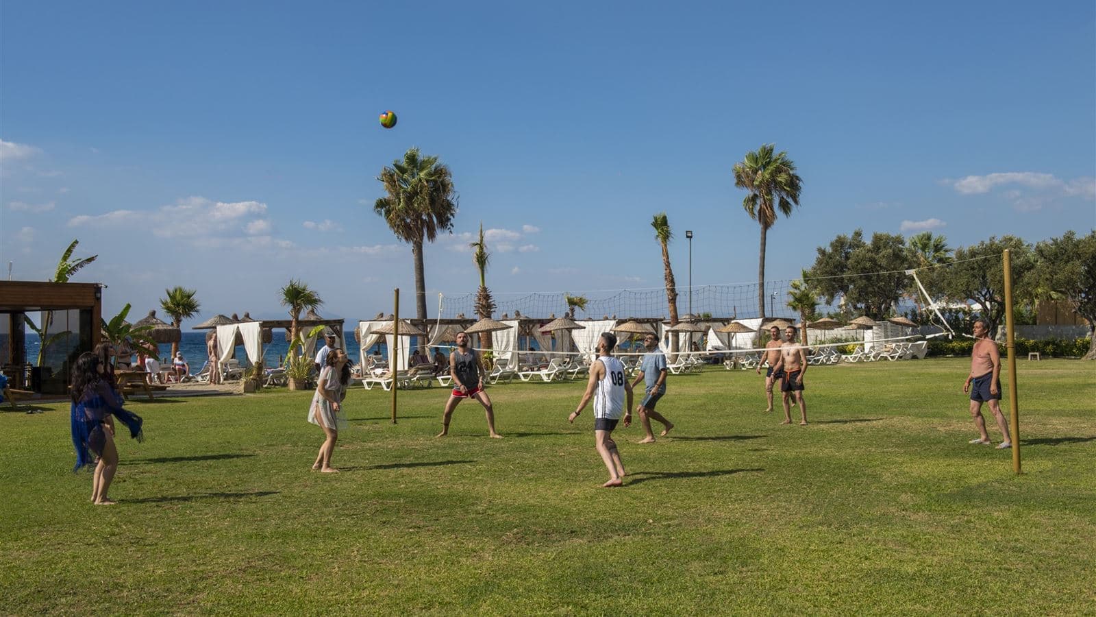 sport-sport
