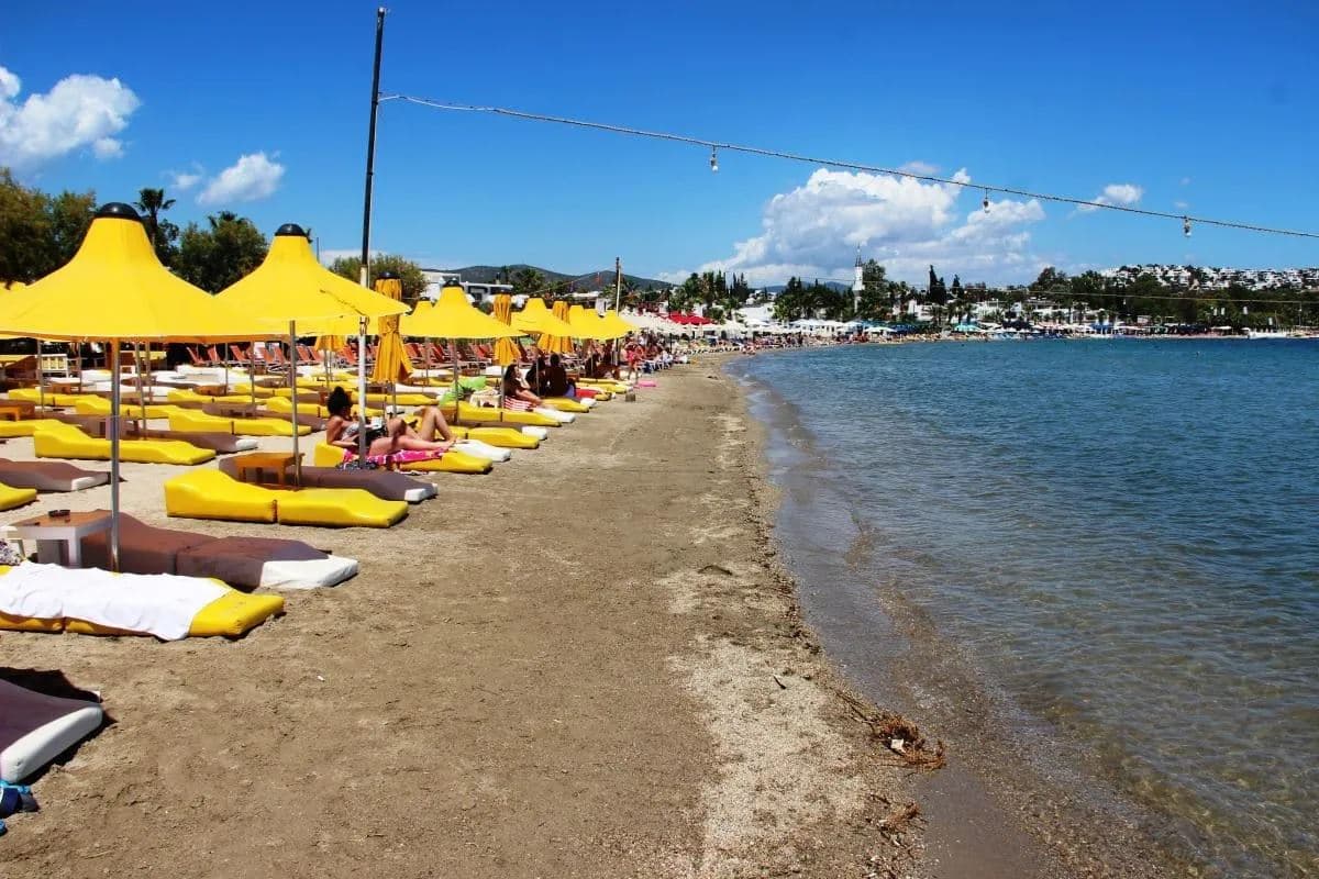 beach-main-building