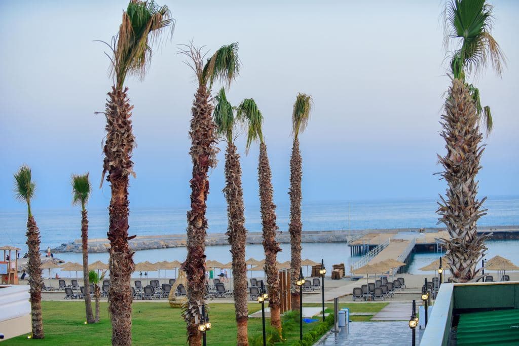 beach-beach