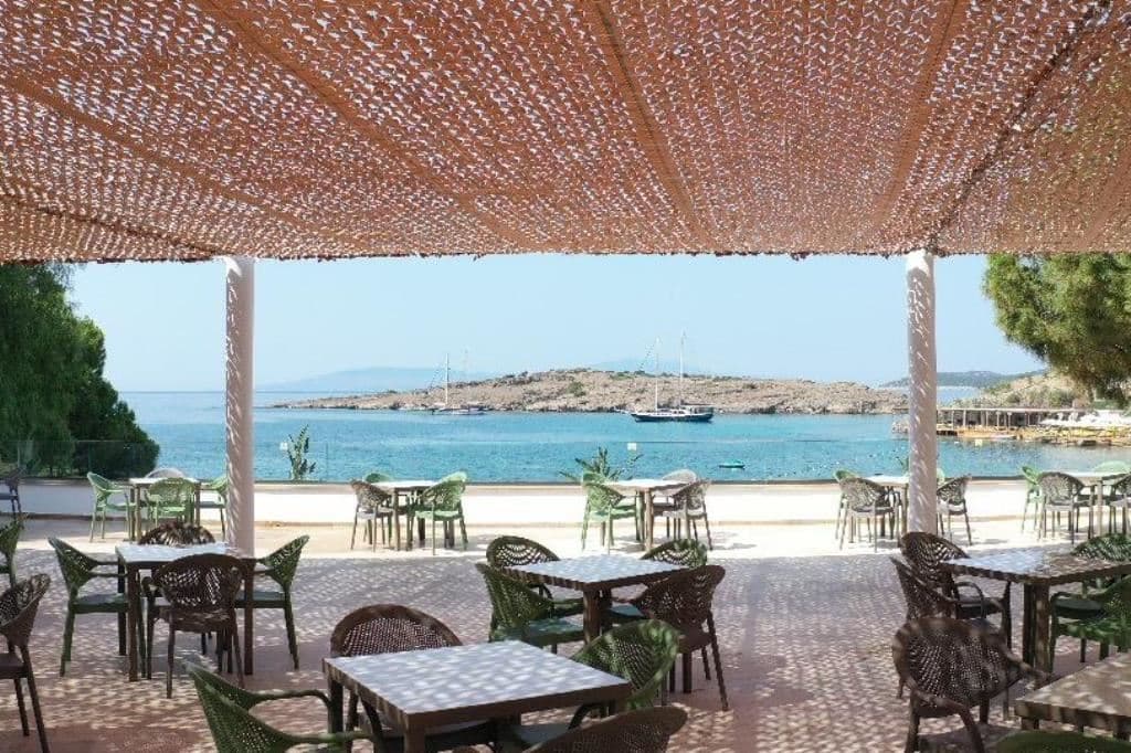 bars-beach-bar