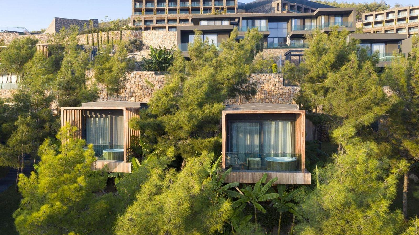 rooms-forest-room