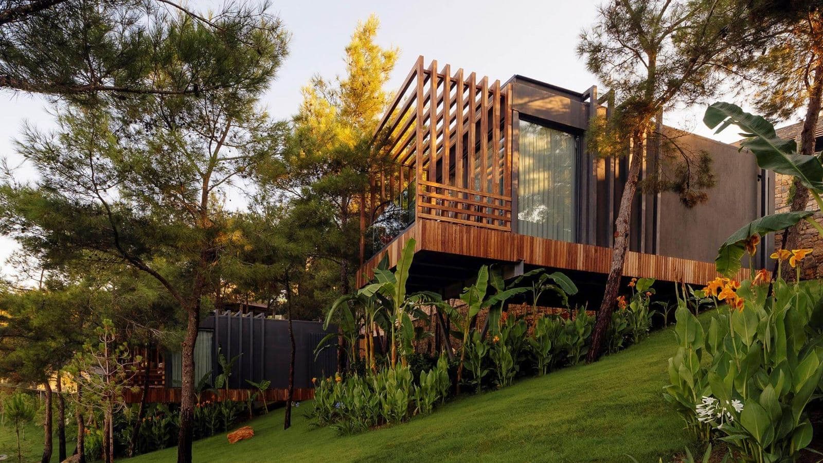 rooms-forest-room