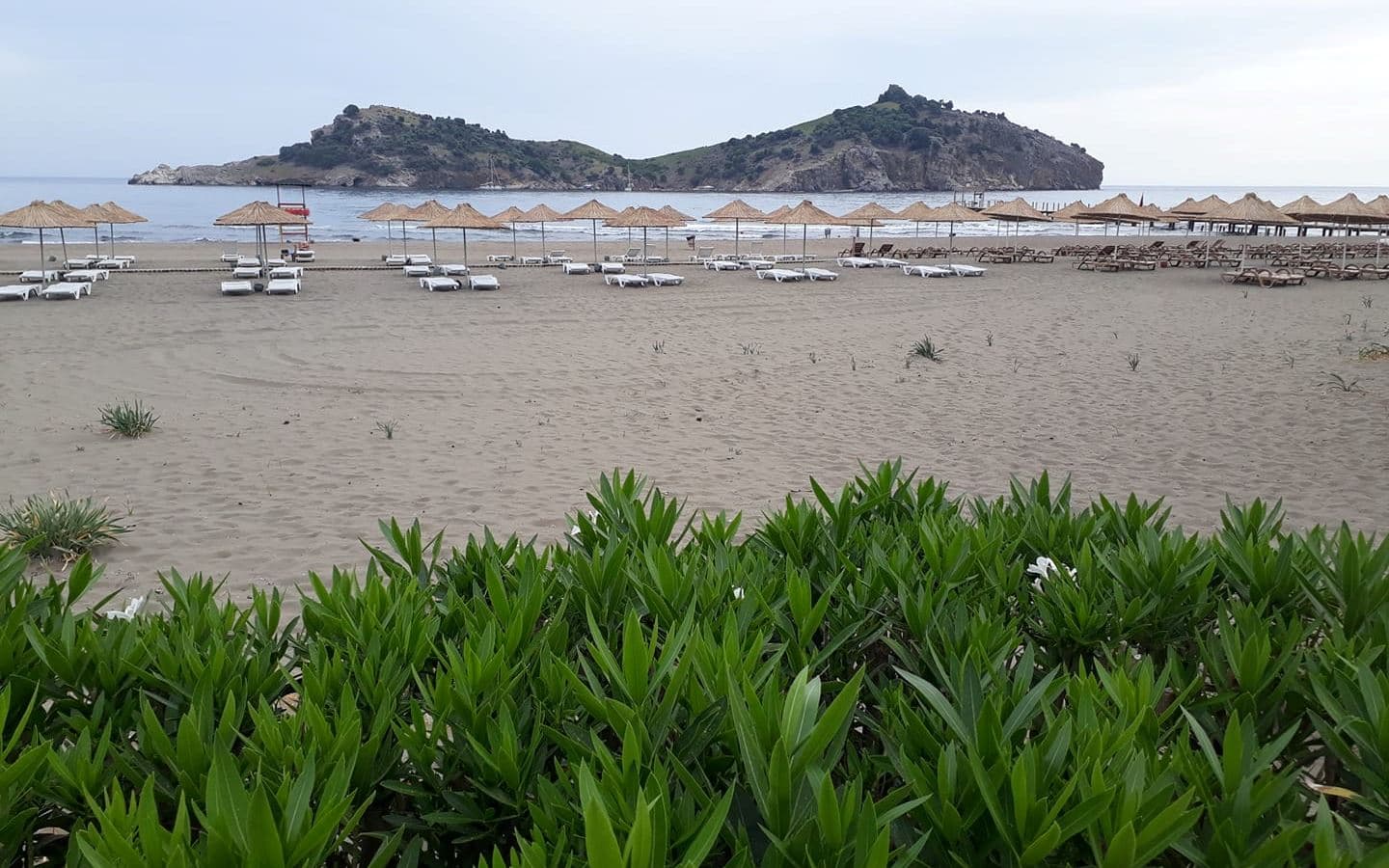 beach-beach
