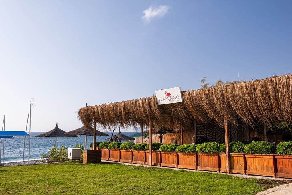 bars-beach-bar