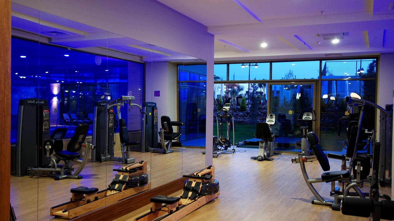 sport-sport