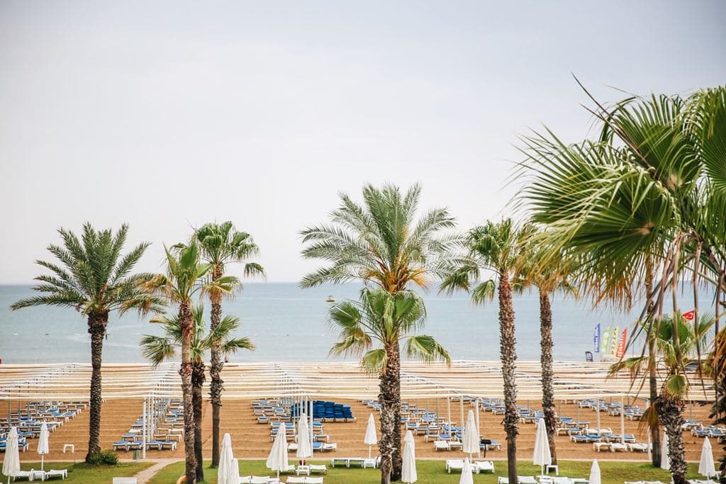 beach-beach