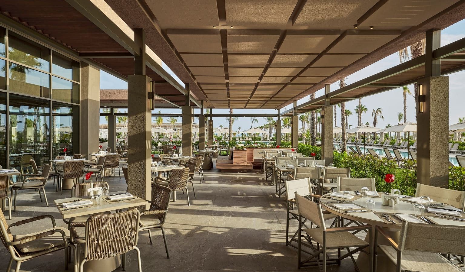 bars-savory-restaurant-bar