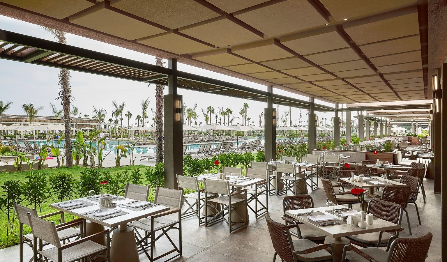 bars-savory-restaurant-bar