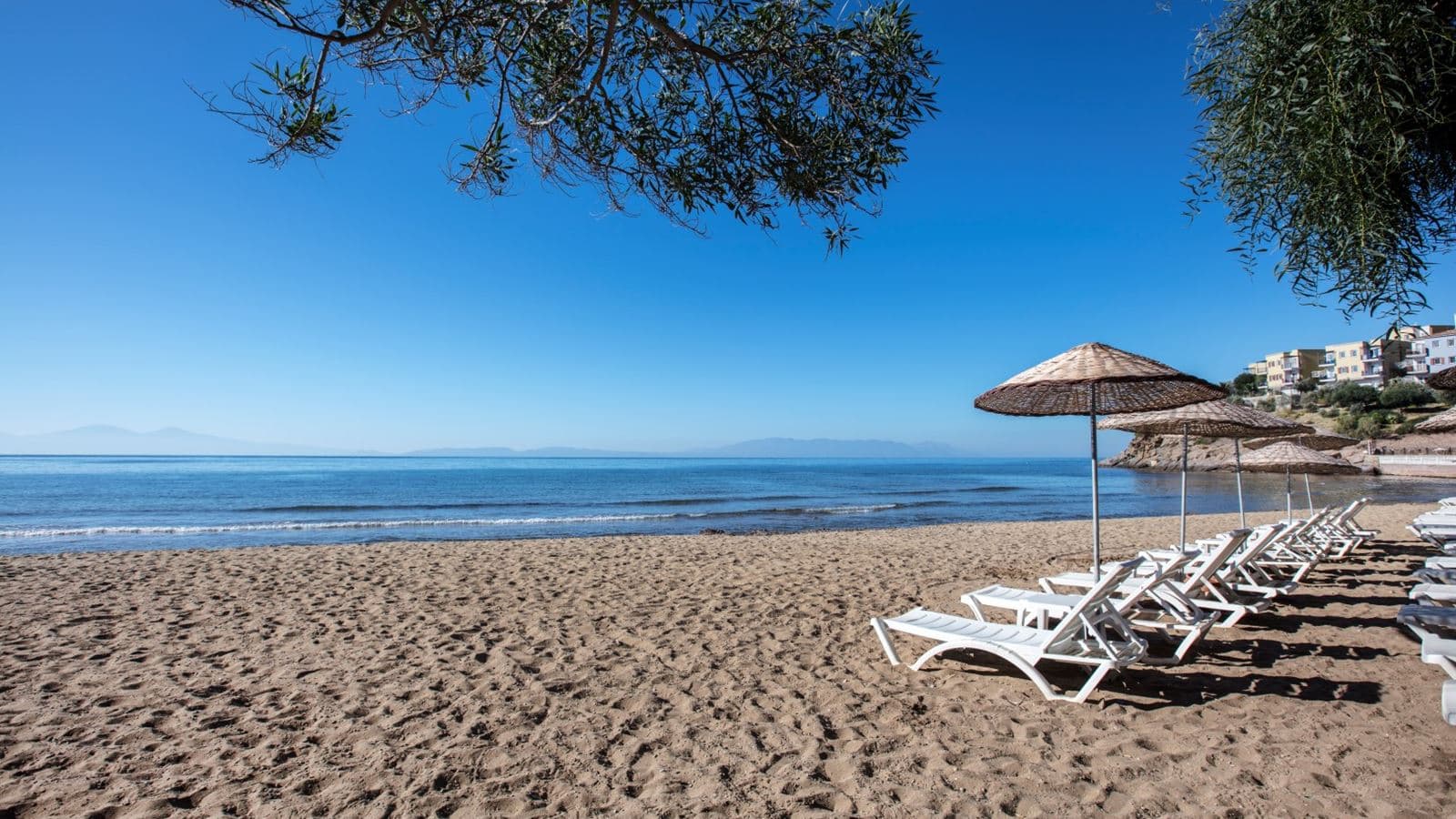 beach-beach