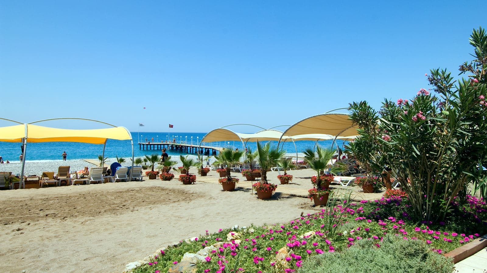 beach-beach