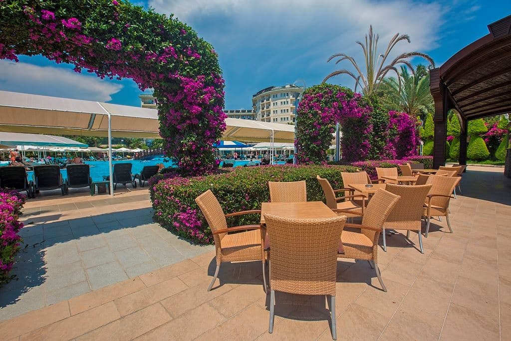 bars-pool-bar