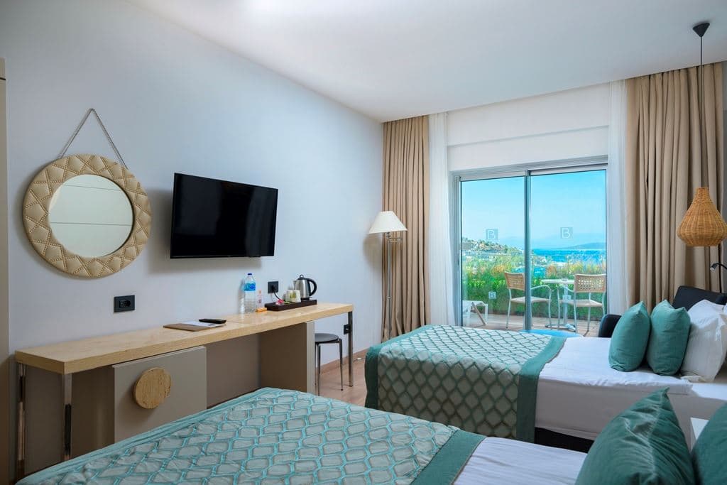 rooms-main-building-deluxe-room-wood-terrace