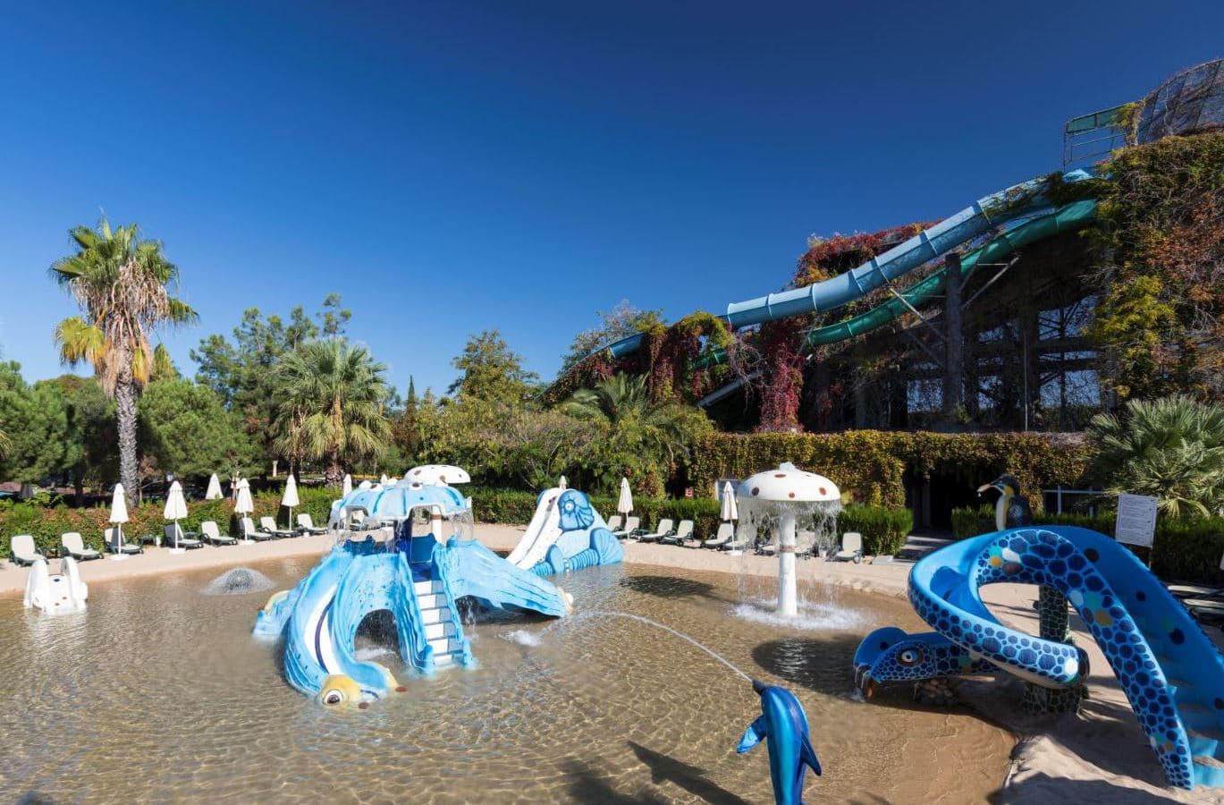 water-park-water-park