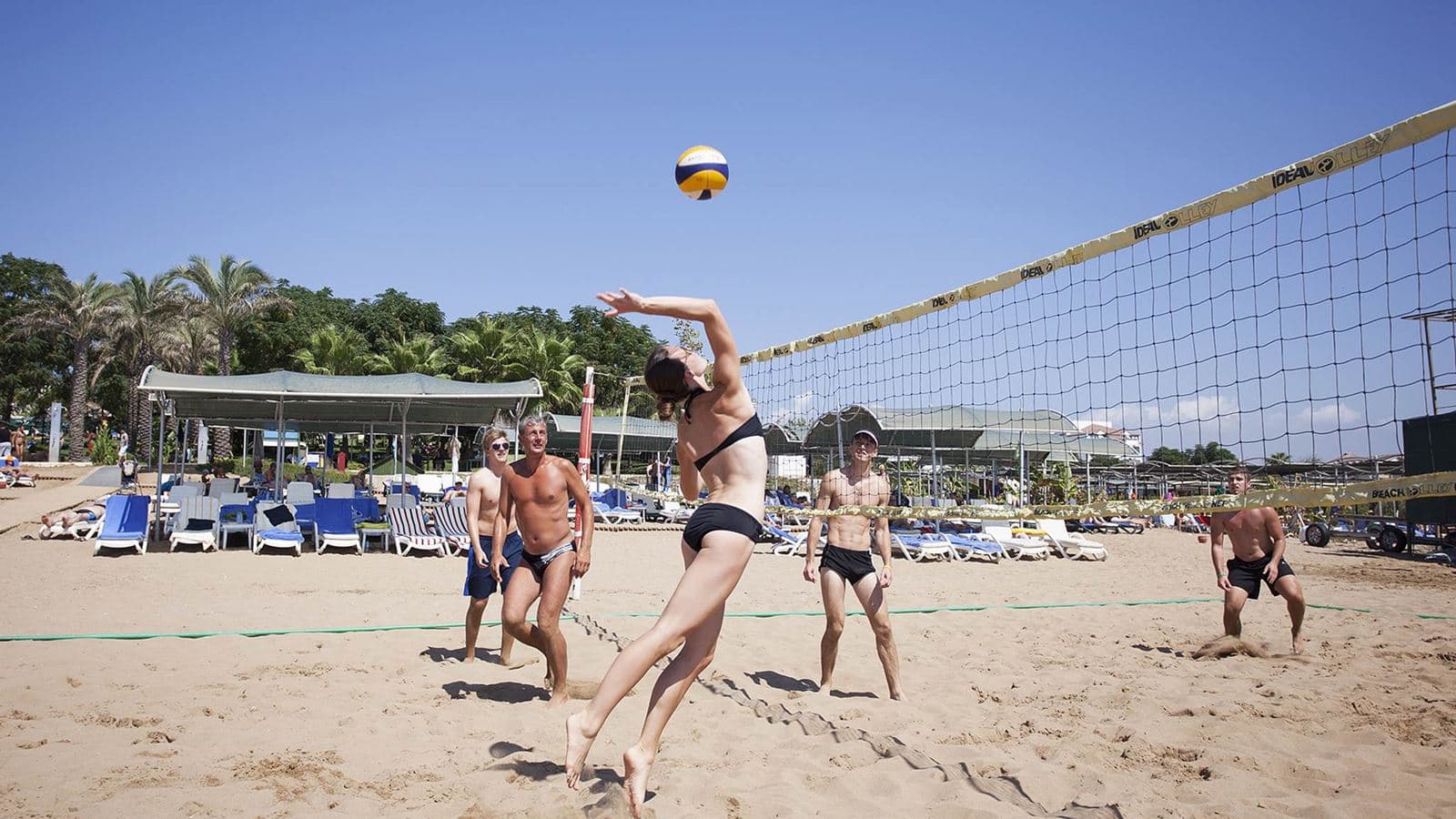 sport-sport