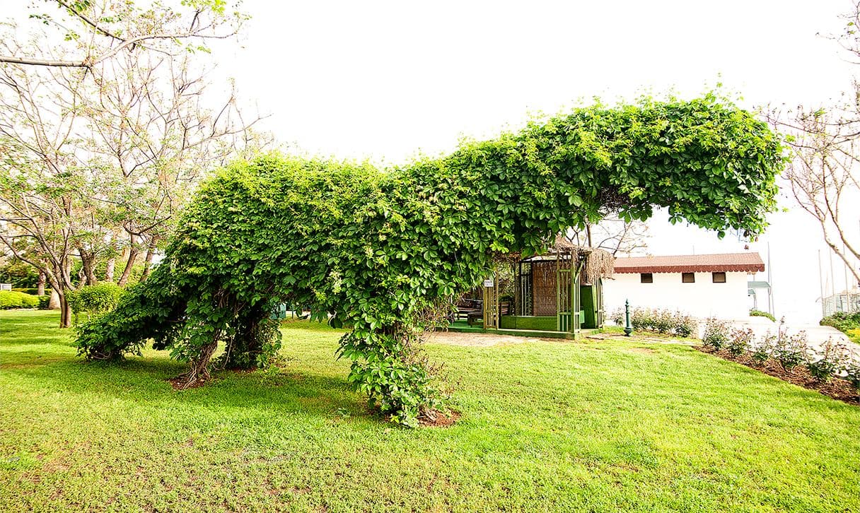 general-bungalow