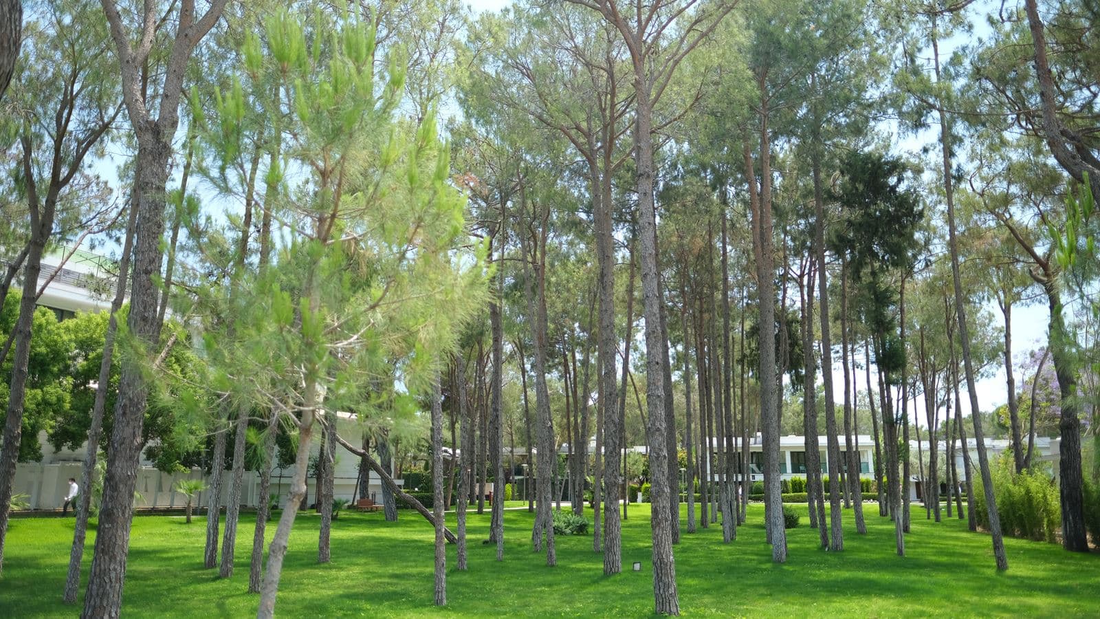 general-general