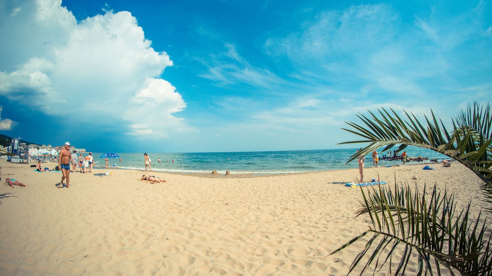 beach-beach