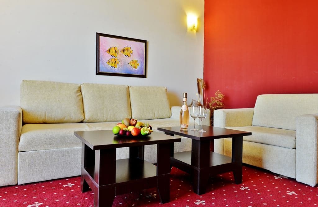 rooms-1-bedroom-standard-apartment-balcony
