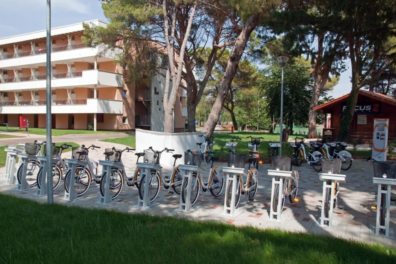 sport-sport