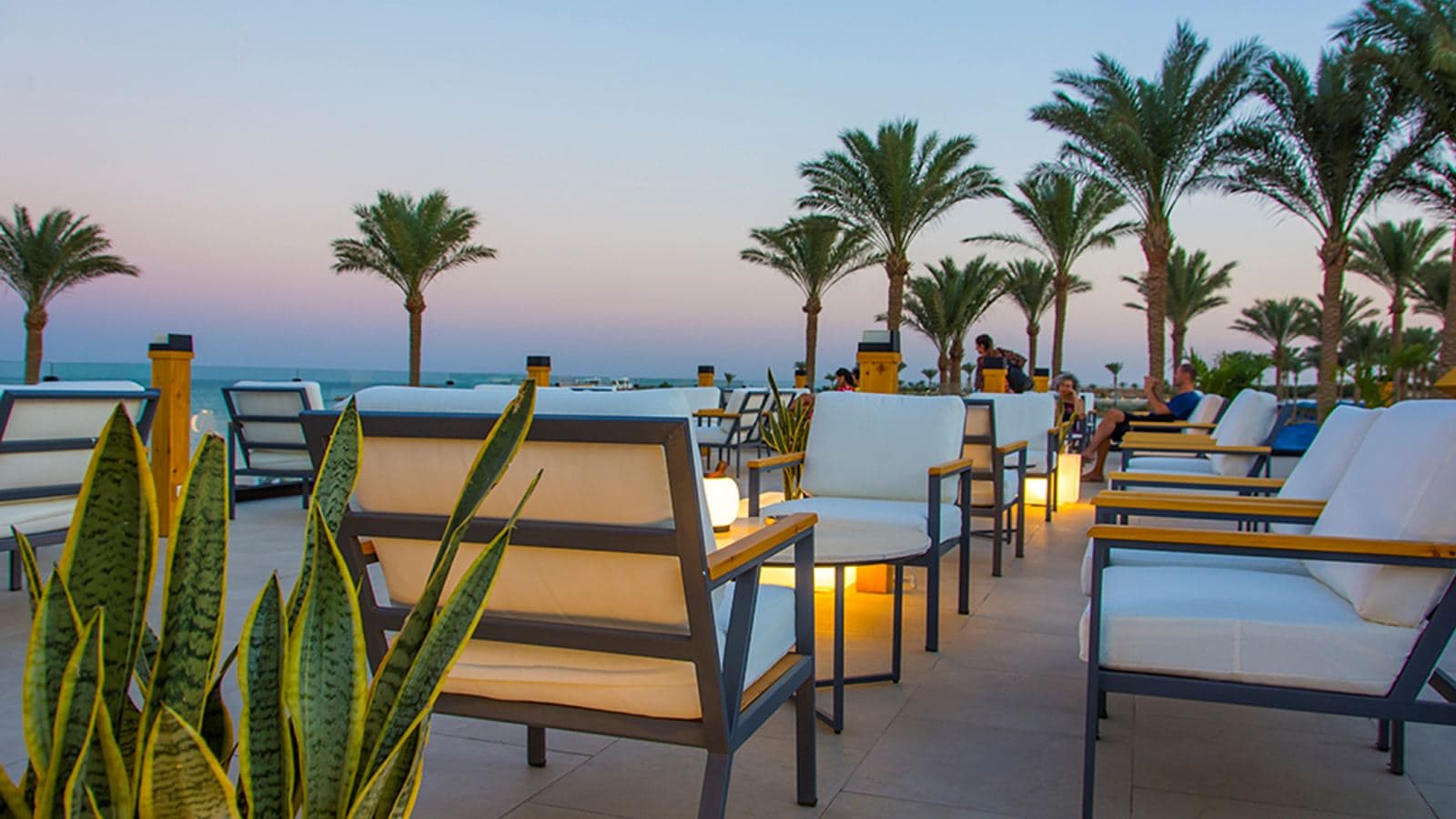 bars-sky-roof-café