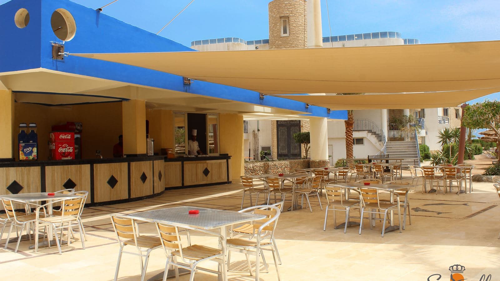 restaurants-dolphin-beach-bar