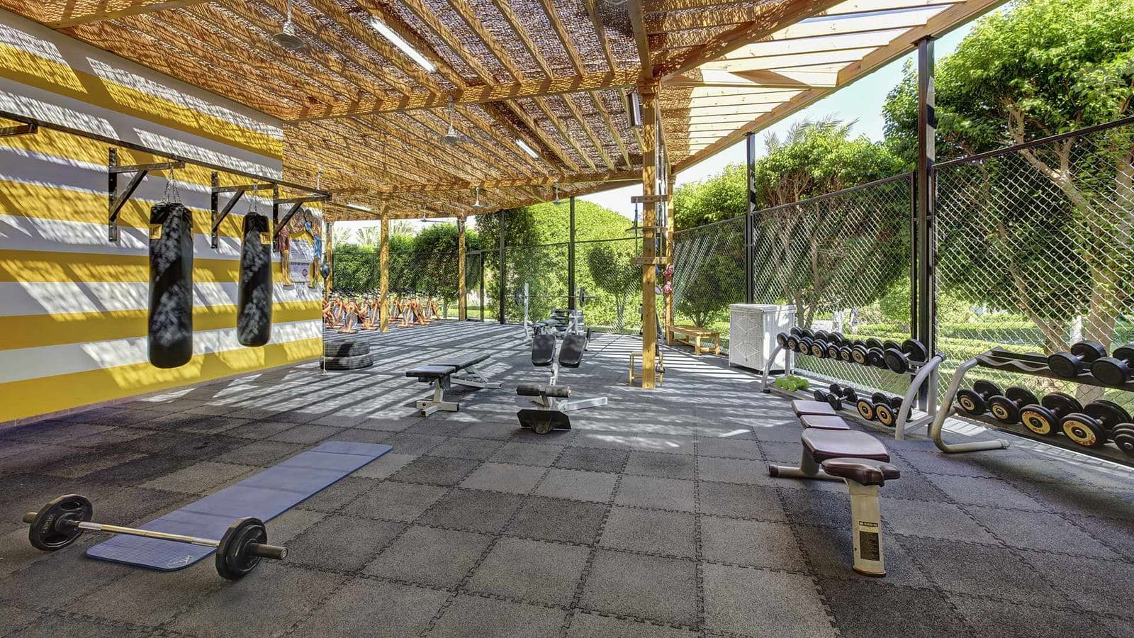 sport-sport