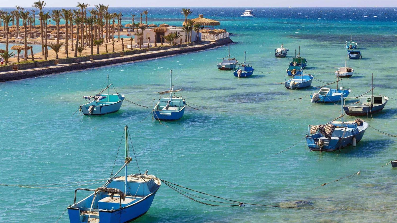 restaurants-felucca-seafood-restaurant