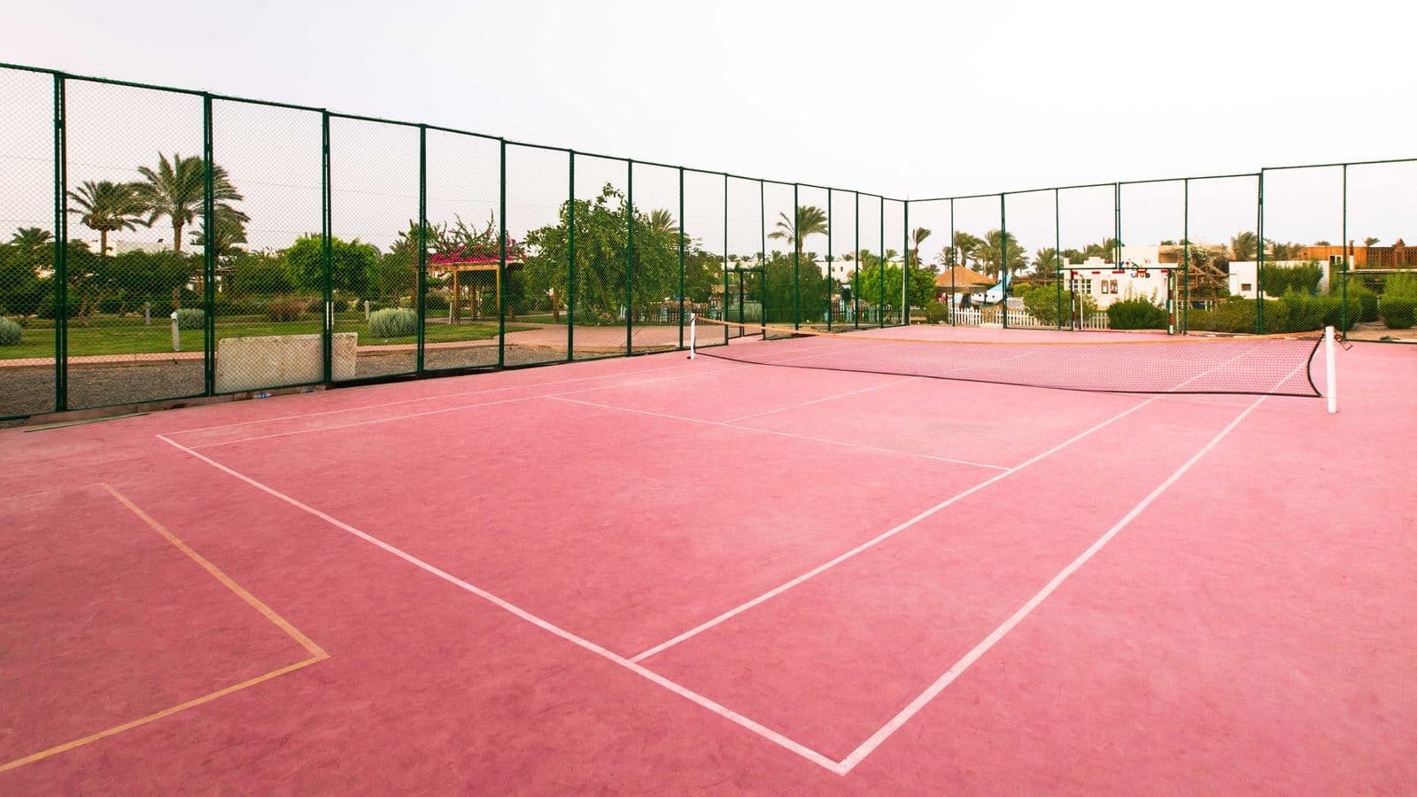 sport-sport