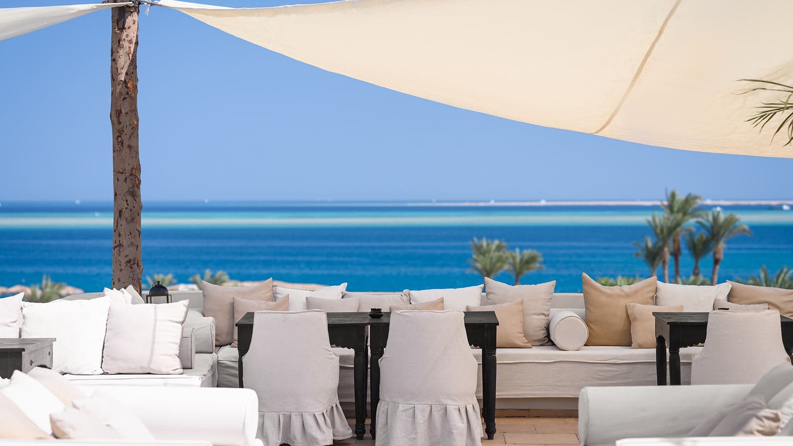 restaurants-the-rooftop-terrace