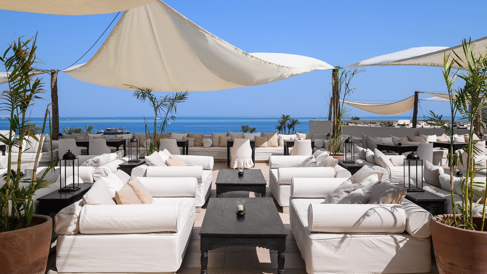 restaurants-the-rooftop-terrace