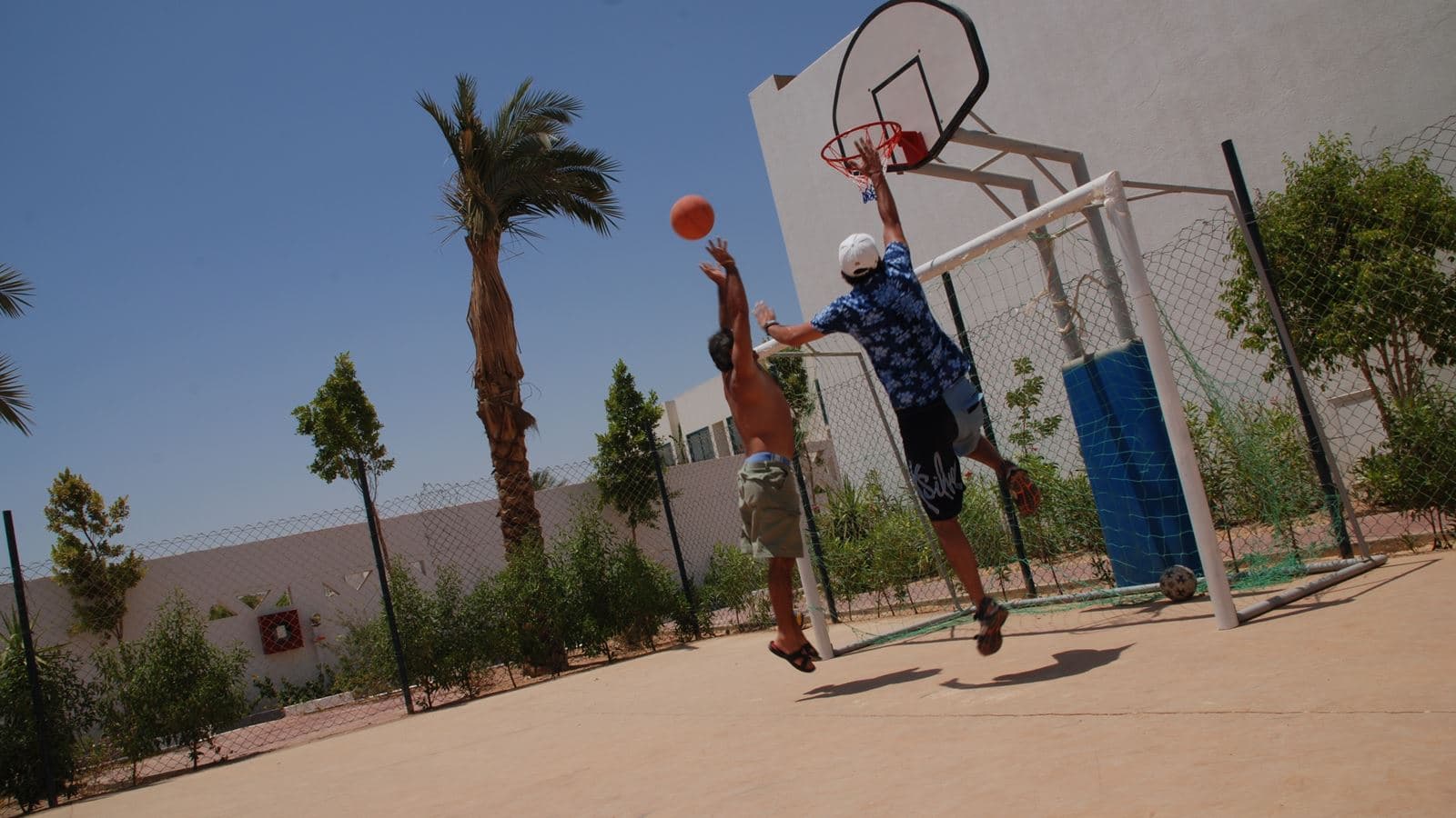 sport-sport