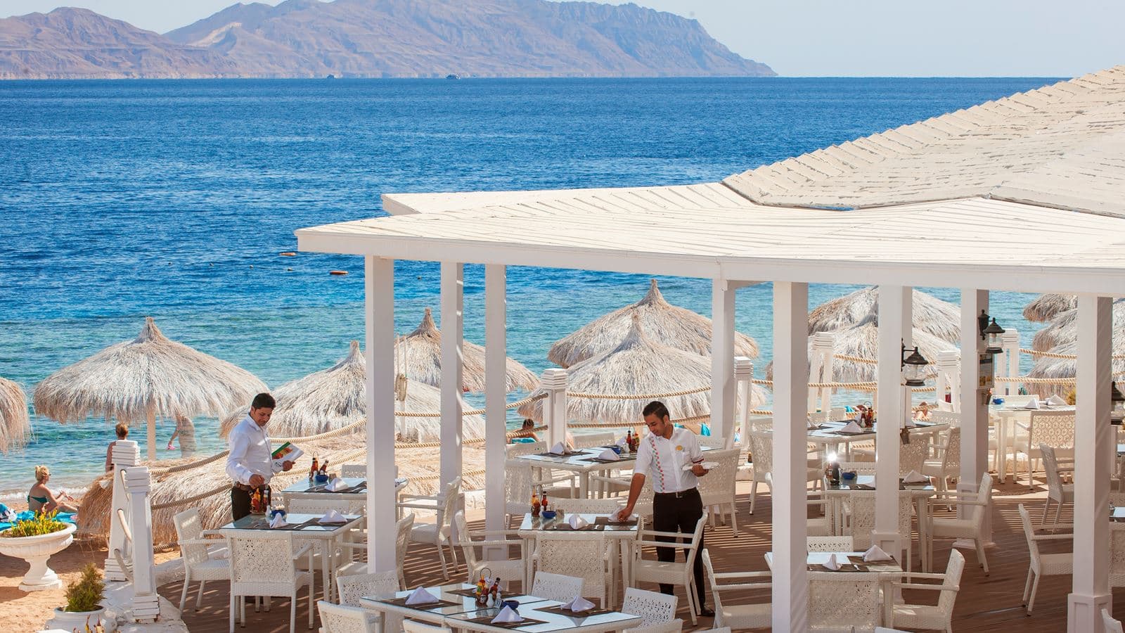 restaurants-basilico-restaurant