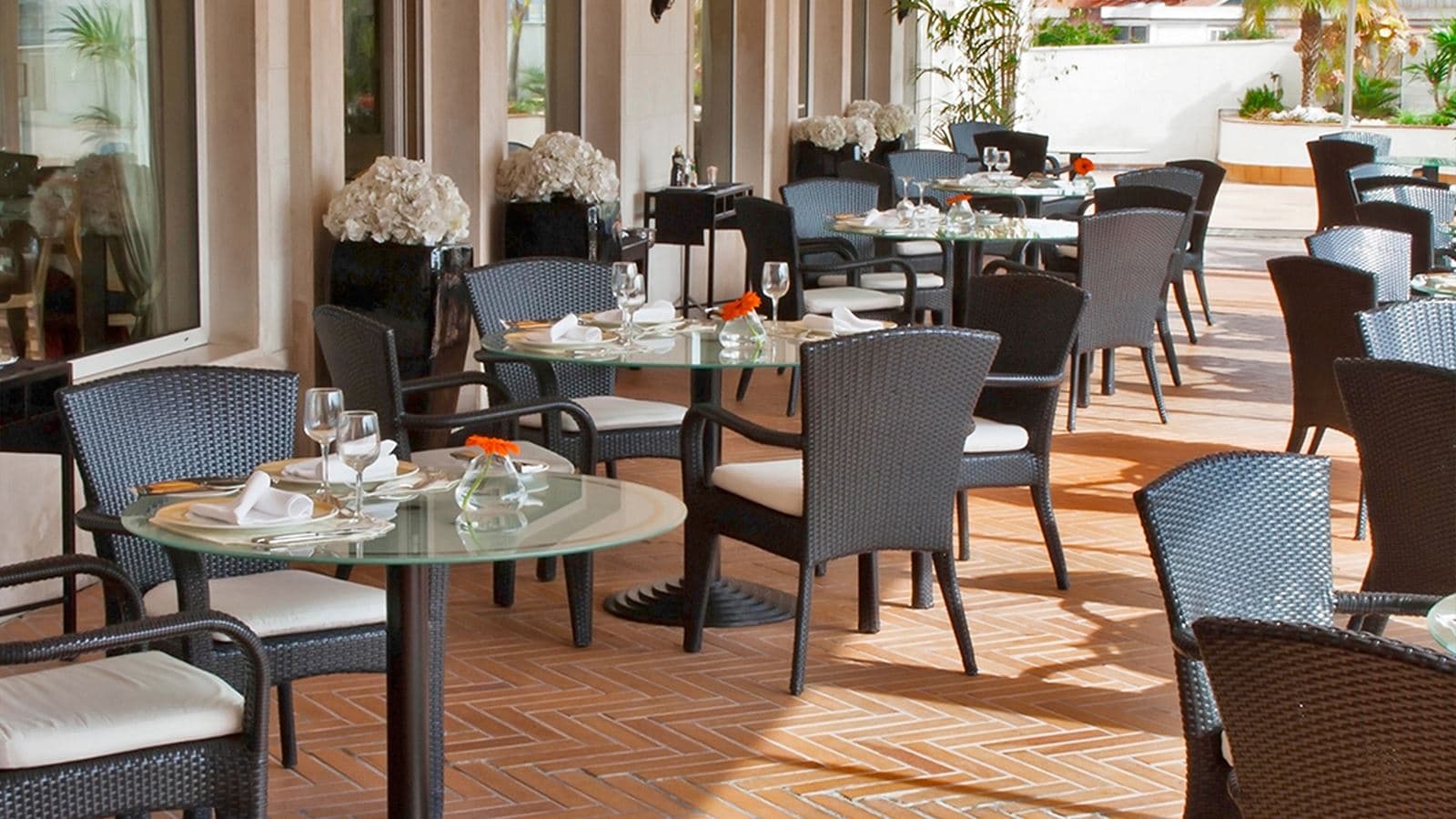 restaurants-restaurants