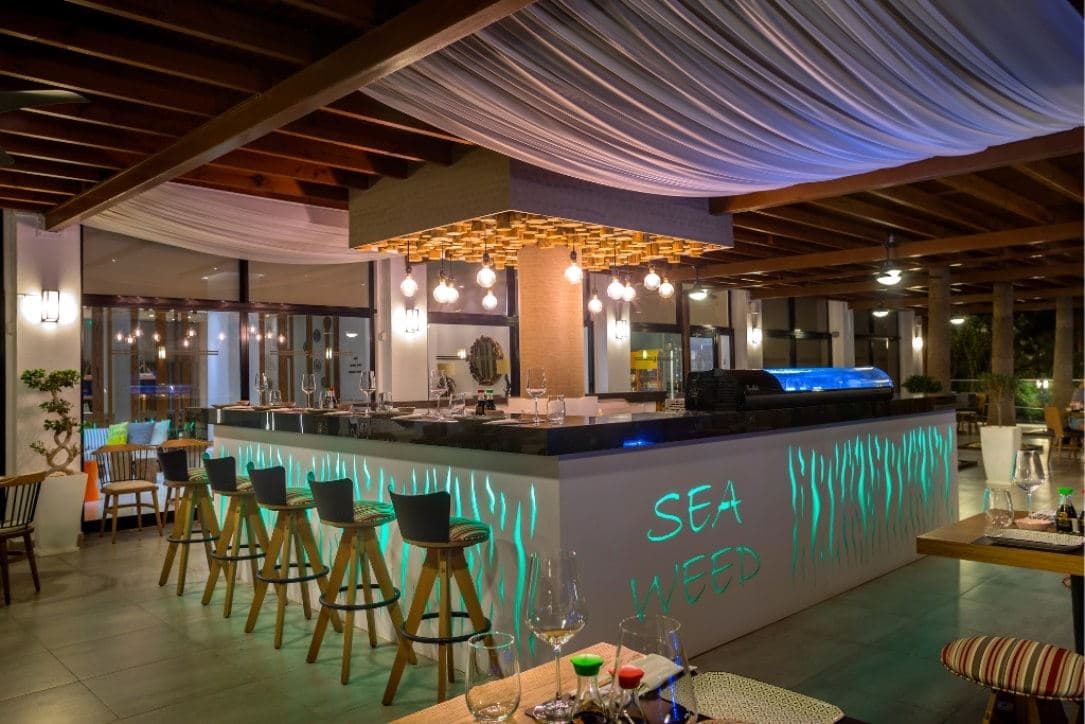 restaurants-seaweed-sushi-bar
