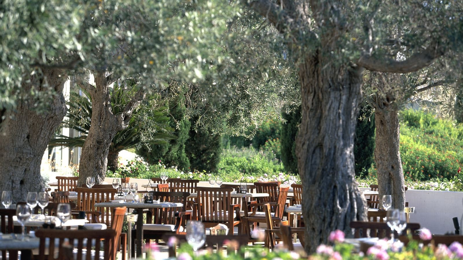 restaurants-pelagos