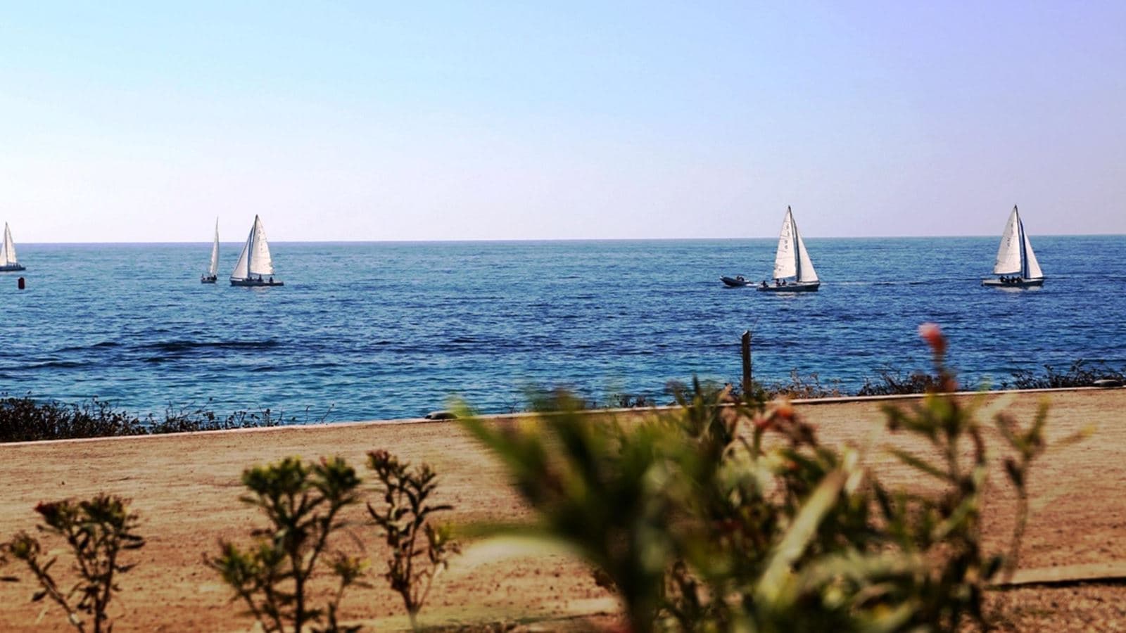 beach-beach