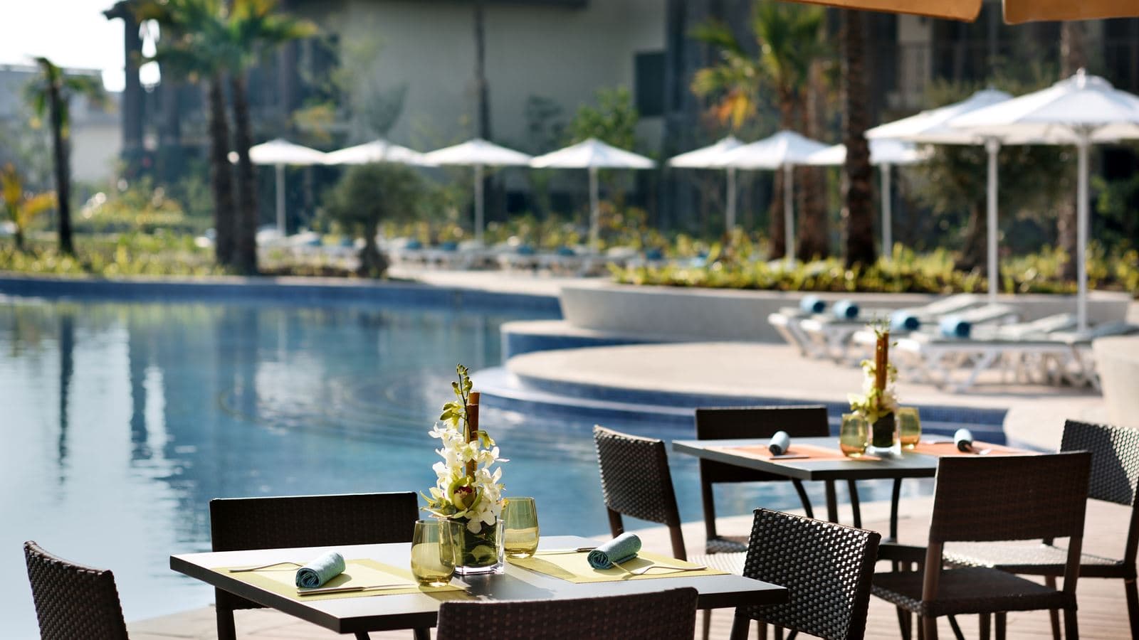 restaurants-ari-restaurant