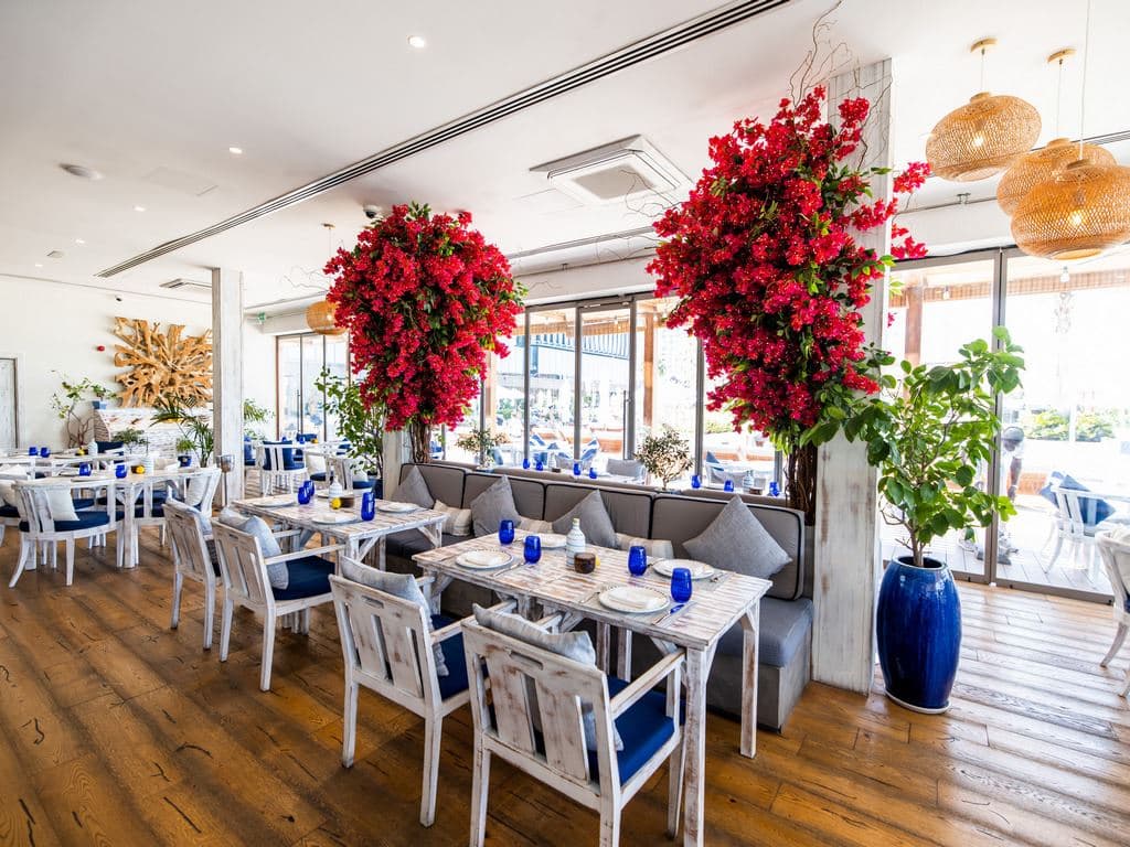 restaurants-ammos
