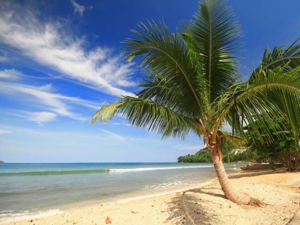 beach-beach