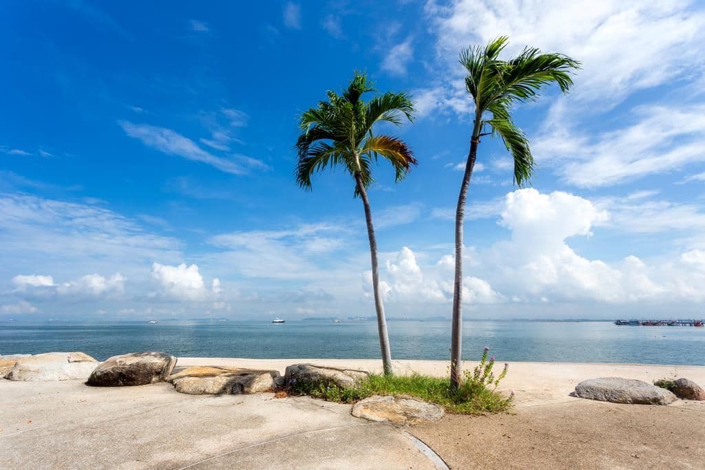 beach-beach